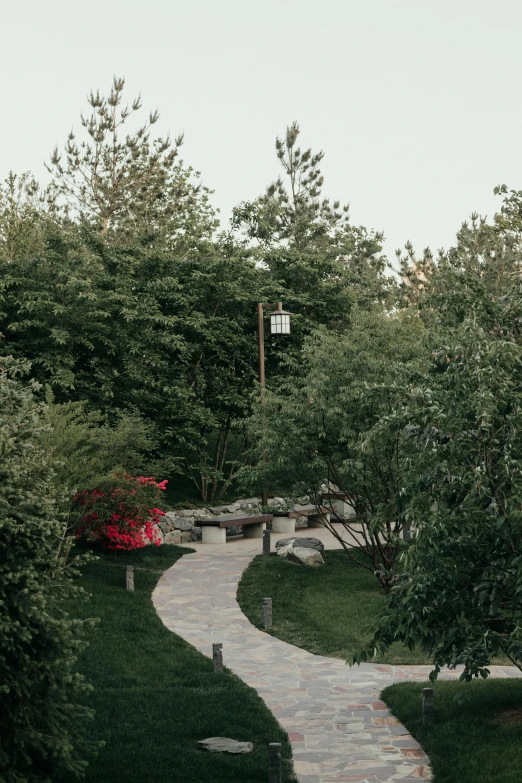 a narrow path surrounded by green trees leads to the rest area