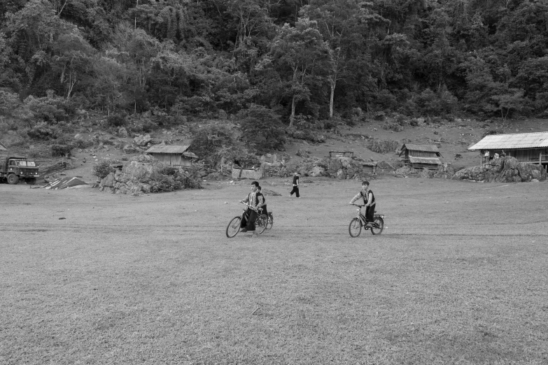 a group of people on bicycles near trees