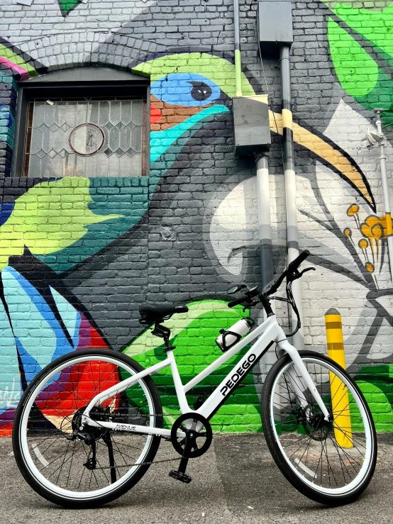 white bicycle next to a wall with multicolored animal paintings