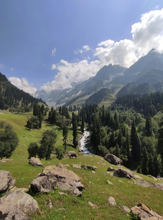 mountains and a river surrounded by trees are seen from the top