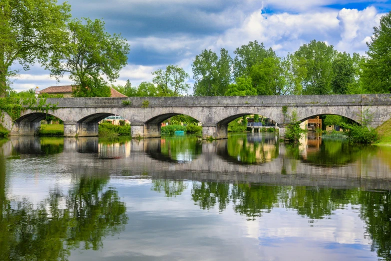 a bridge that is over some water and trees