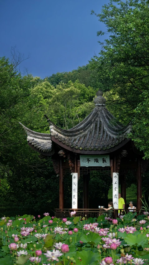 an asian pavilion surrounded by pink flowers