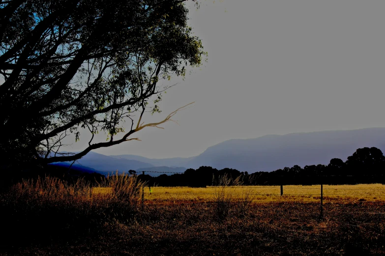 the field in the distance is empty with the trees and mountains