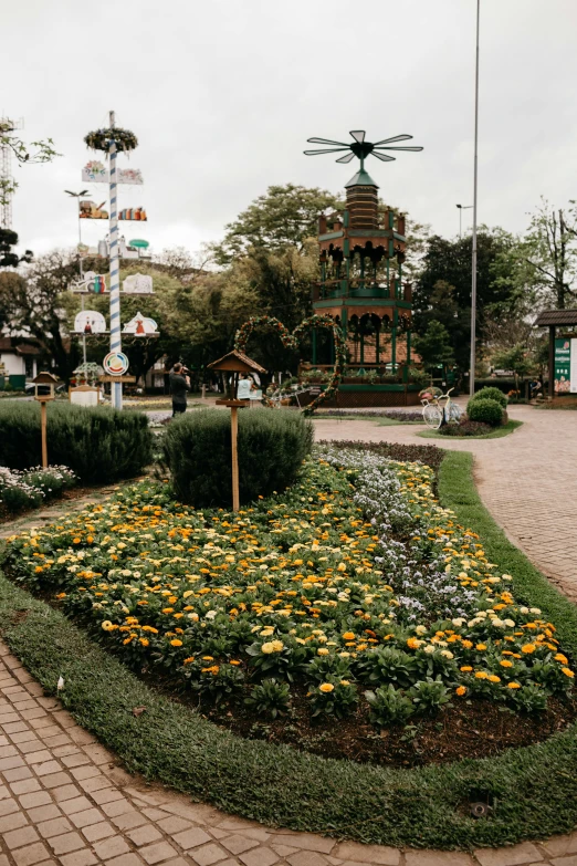 a flowerbed with yellow and white flowers growing in it