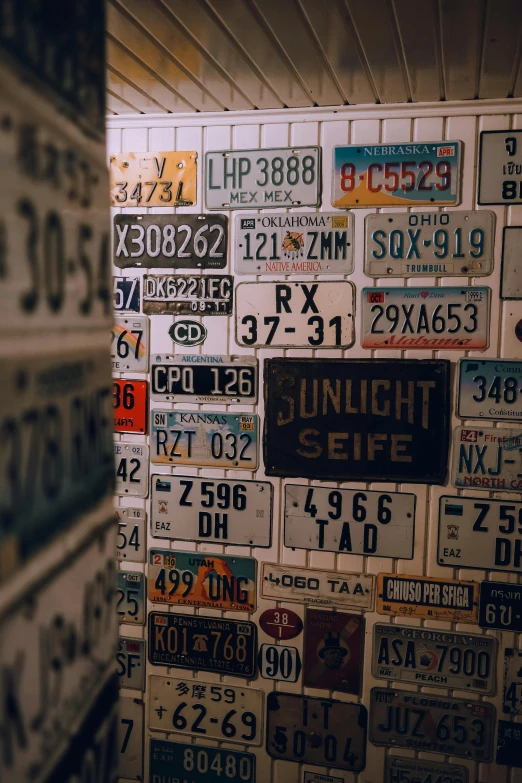 various license plates covering the wall in a bathroom