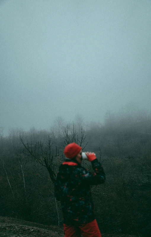 a person in red pants and a blue jacket stands looking out over trees