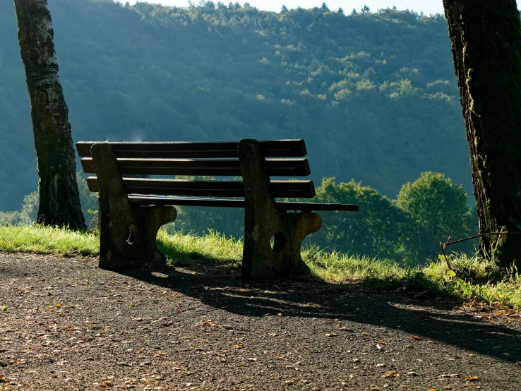 a lone park bench is sitting in the middle of a field