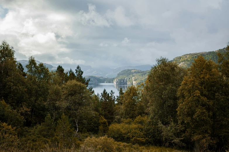 a boat floating on top of a lake surrounded by trees