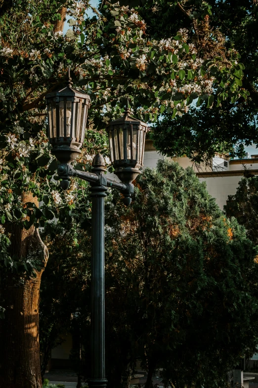 a lamp post sits on the corner of a street