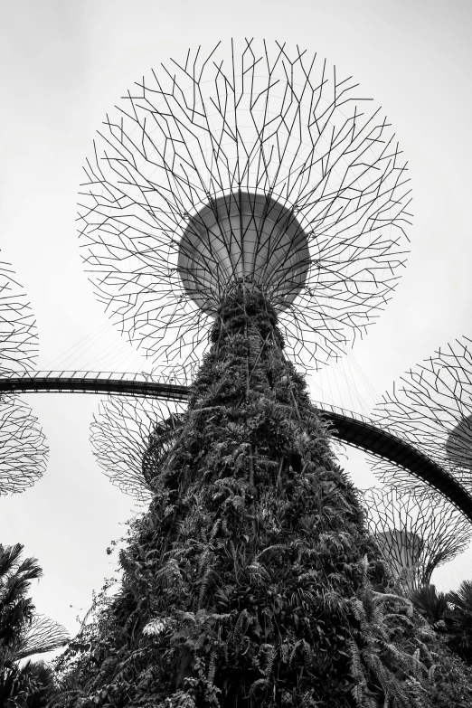 a very tall, ornate structure sitting above a tree