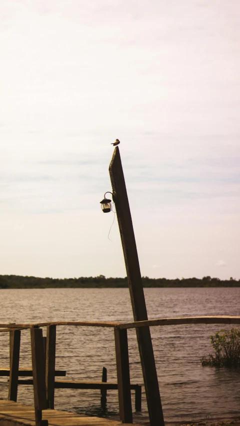 a bird is sitting on the top of a bridge