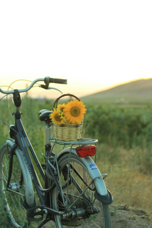 a bicycle that is parked with flowers in the basket