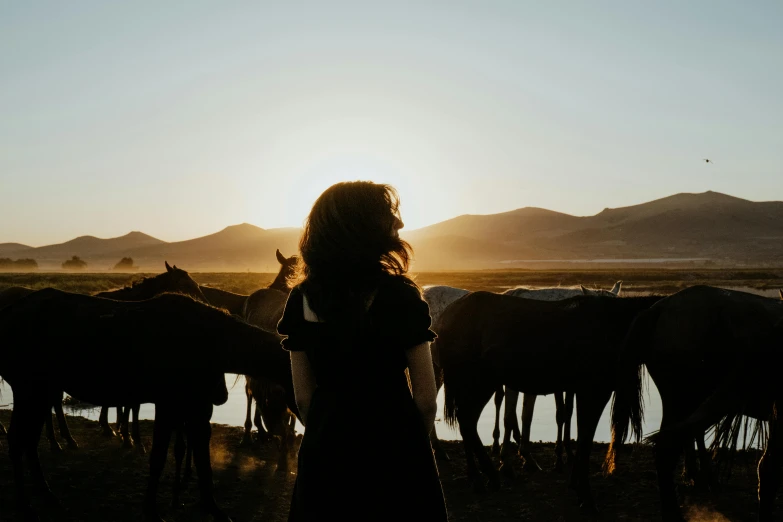 a person standing in the sunlight near horses