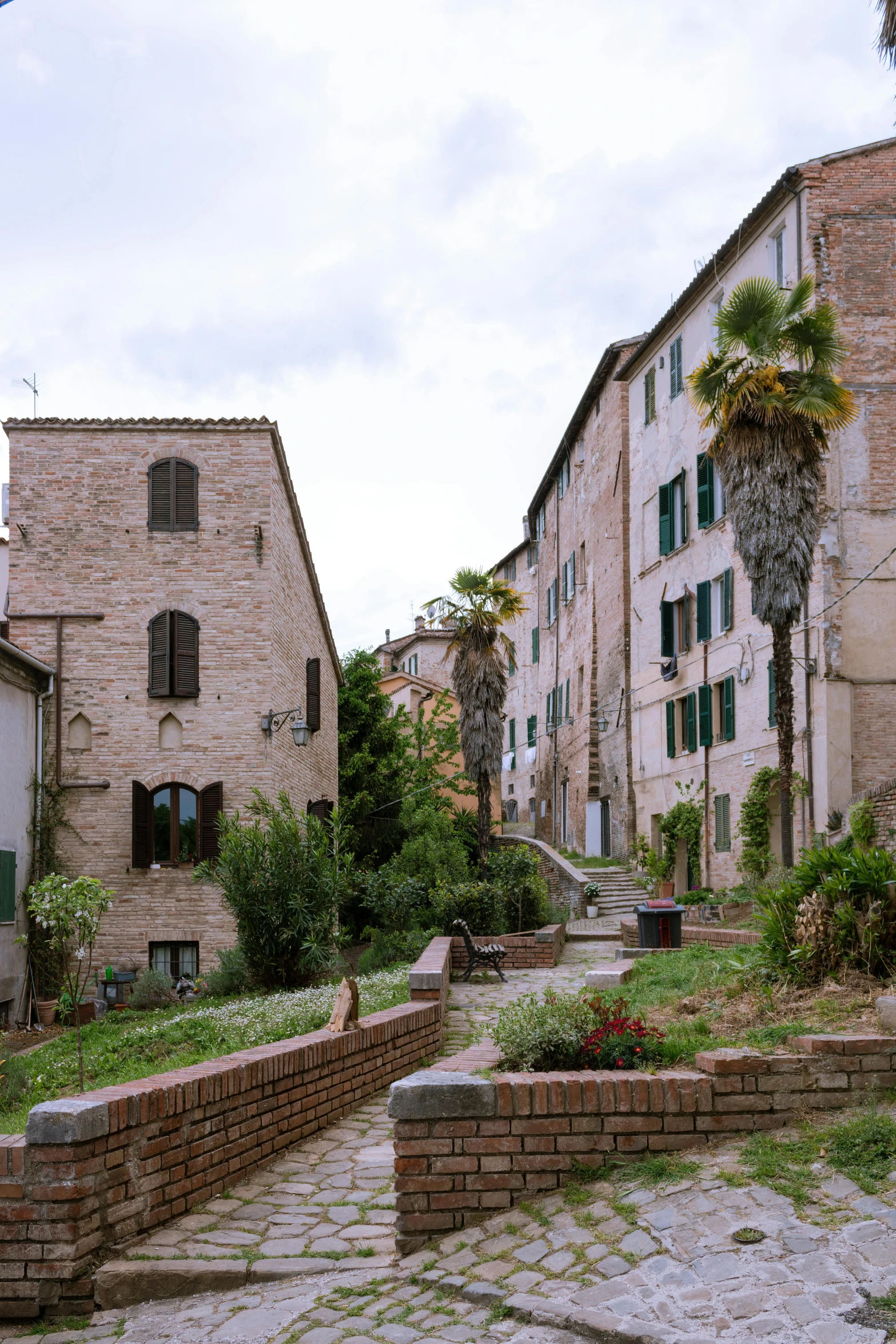 this is a po of an old street with various plants on either side of the road