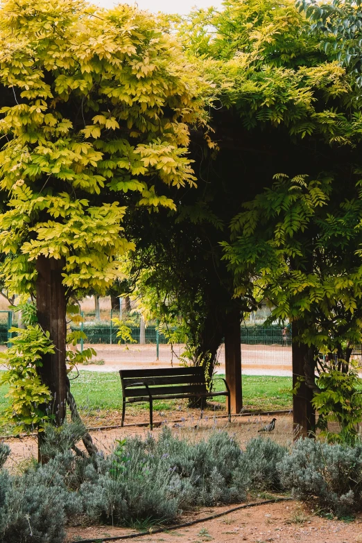 a park bench surrounded by trees and bushes