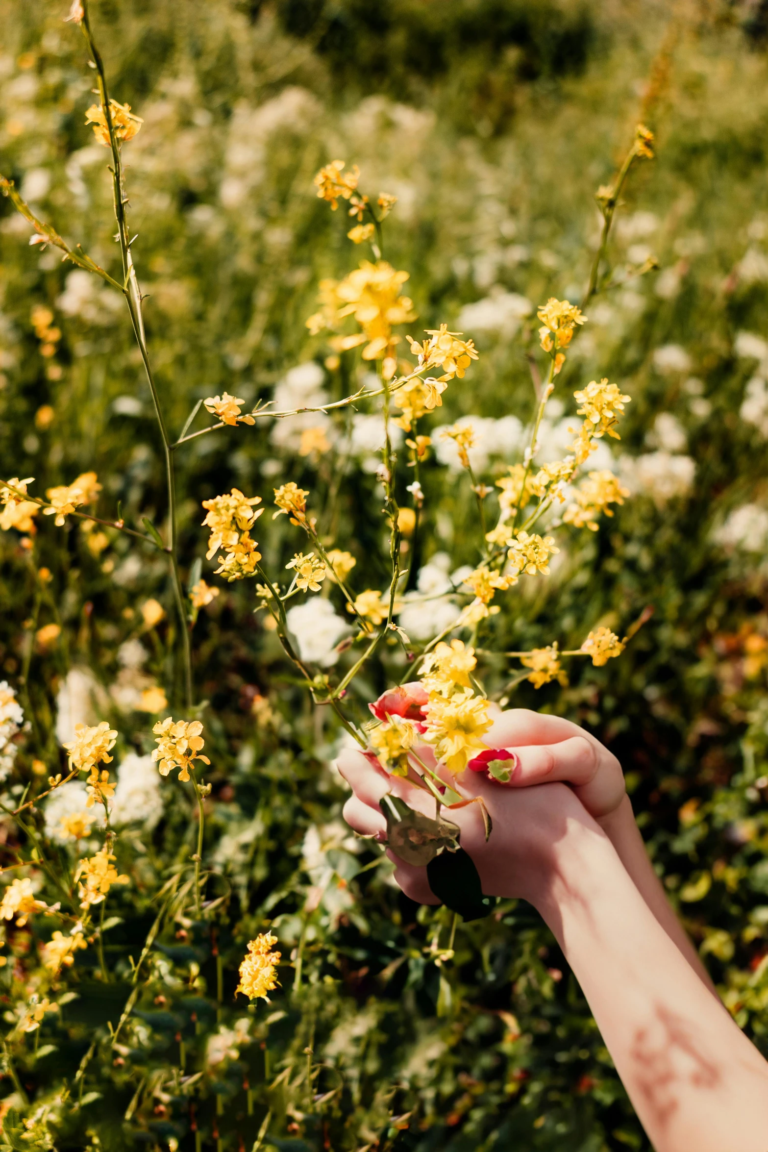 a woman standing in the middle of a field holding flowers