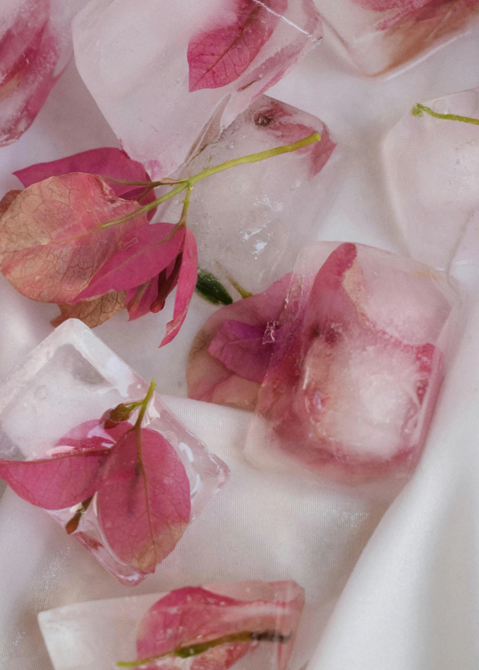 some pink flowers and ice on the table