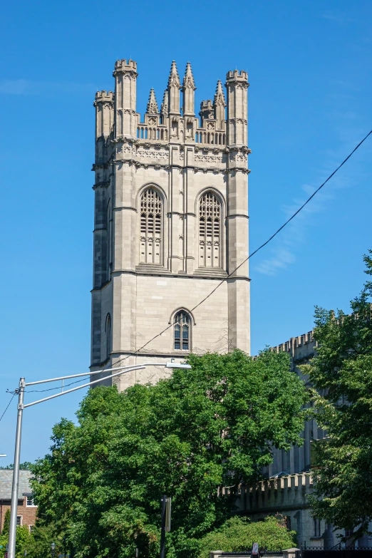 a large tower sitting above the trees on a sunny day