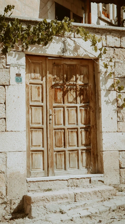 an open door with vines growing on the outside