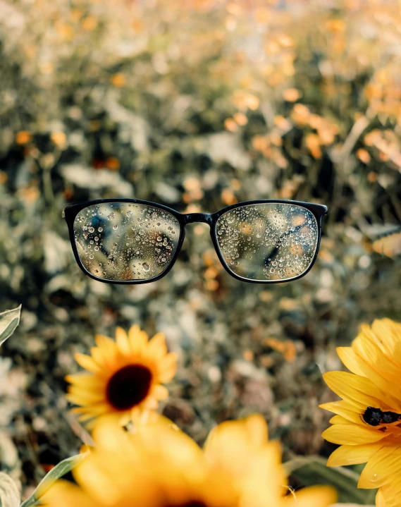 the glasses are near sunflowers and another flower