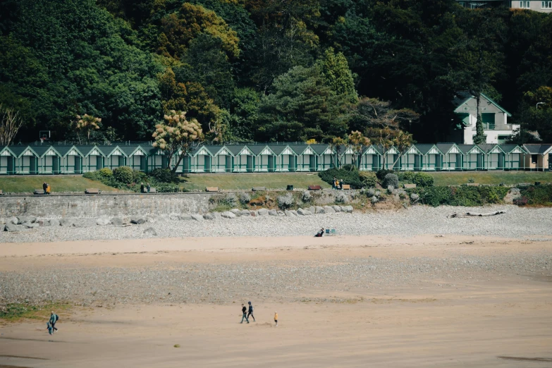 people walking on the beach and trees in the background