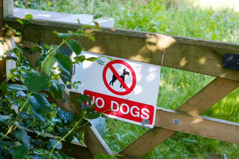 a sign in english warns people to not use dog park