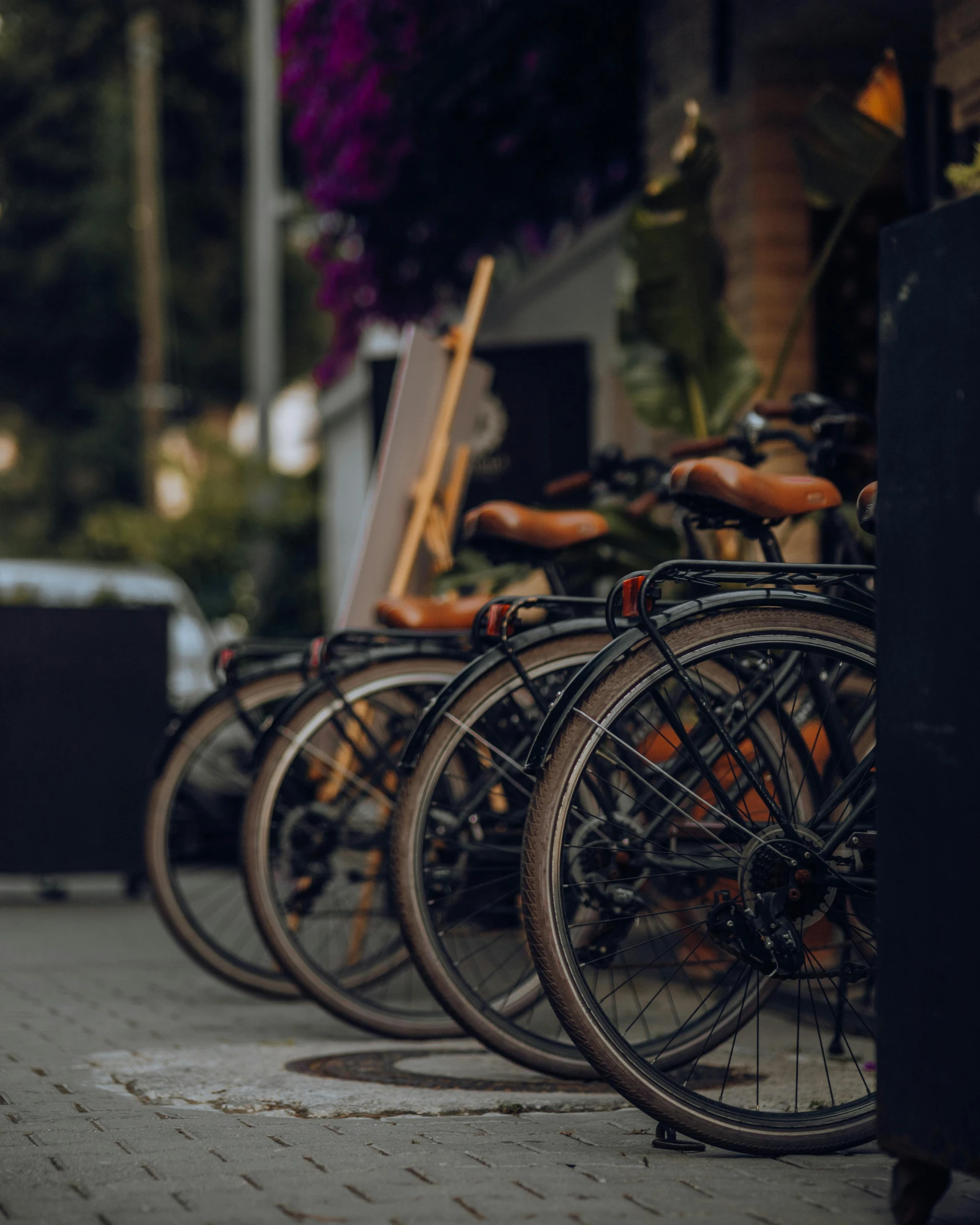 a row of bicycles is lined up near the curb