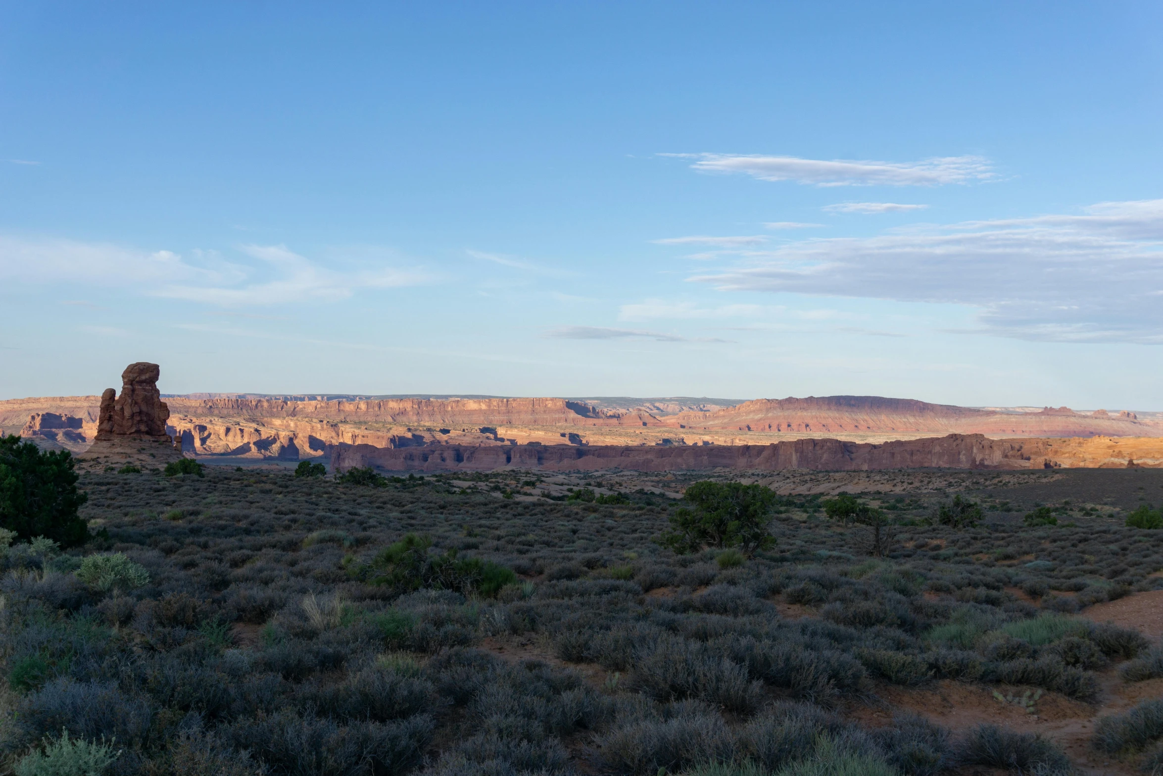 a large field with blue vegetation and mountains in the distance