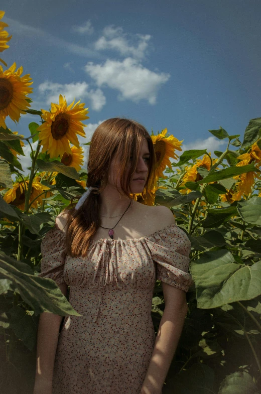 a young woman stands between two rows of sunflowers