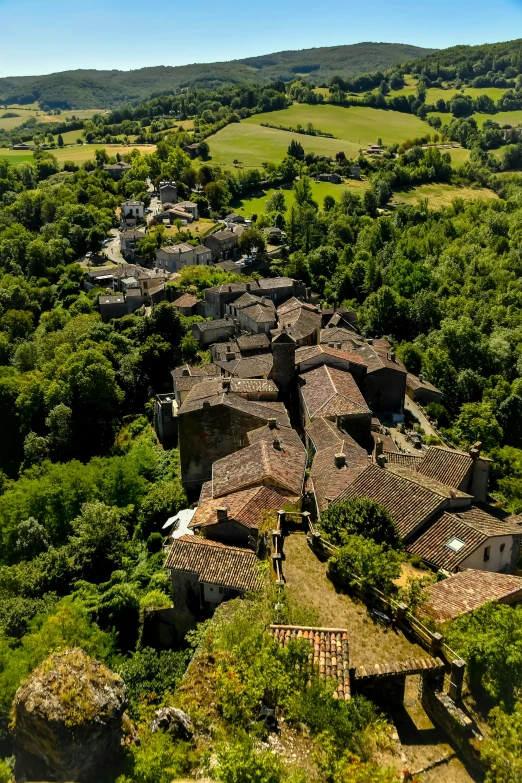 an aerial view of a village with trees and greenery in the foreground