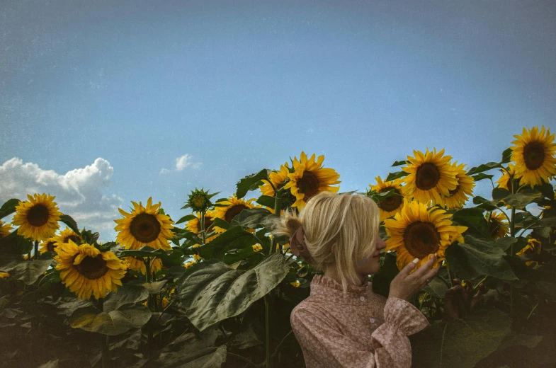 a  stands between large sunflowers