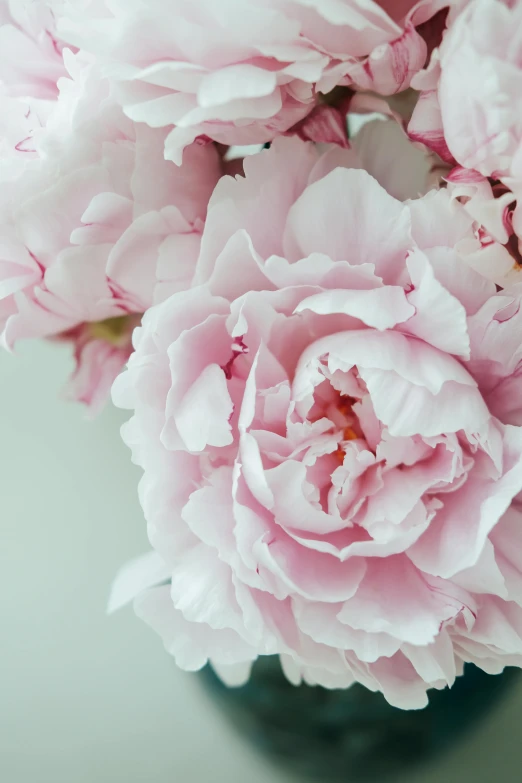 the pink flowers are sitting in a black vase