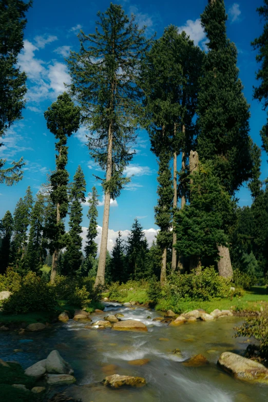 an image of a beautiful nature scene with a creek