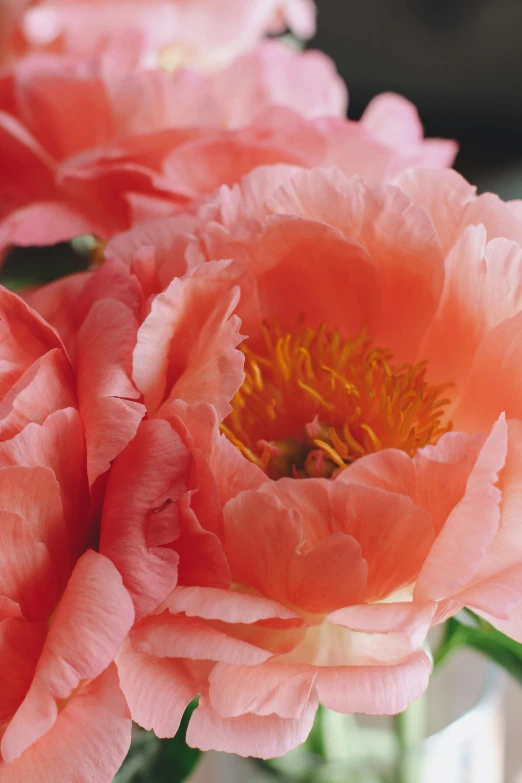 three pink flowers in a vase on top of a counter