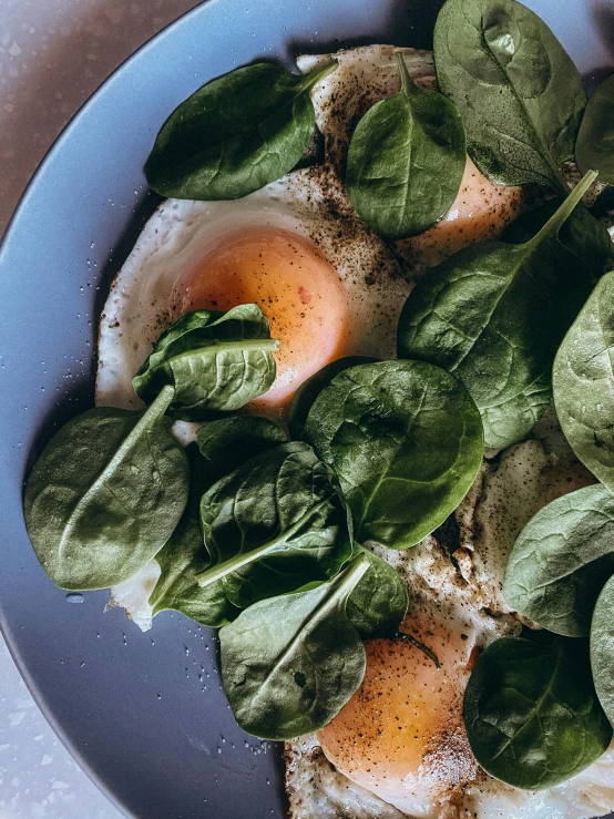 there is some greens on top of an egg and bread