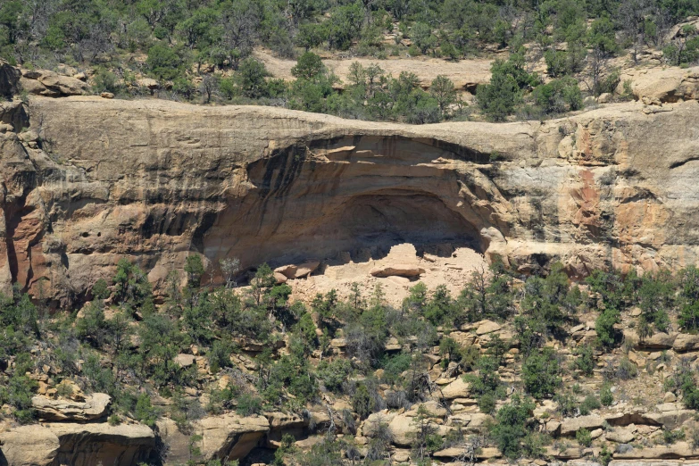 an open area with rocks and trees and a mountain in the background