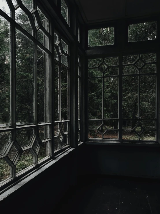 a large window sitting in front of some plants