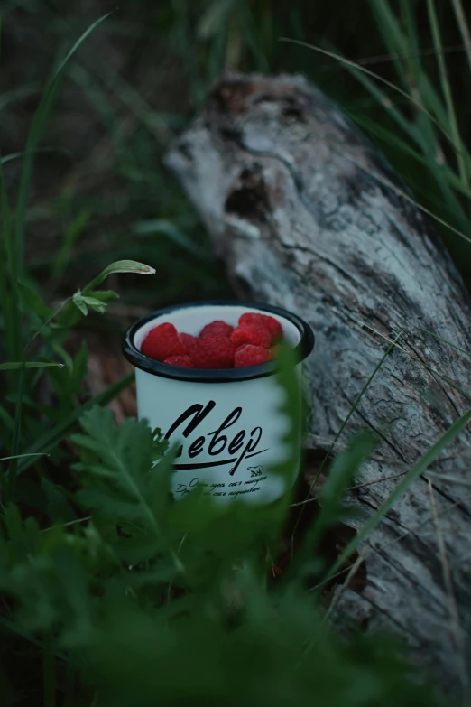 a close up of a cup on grass