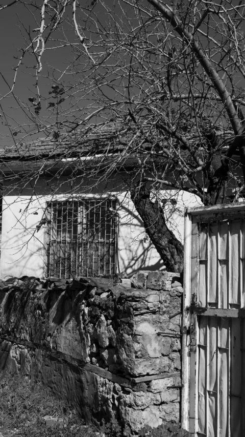 a very old building by a bare tree