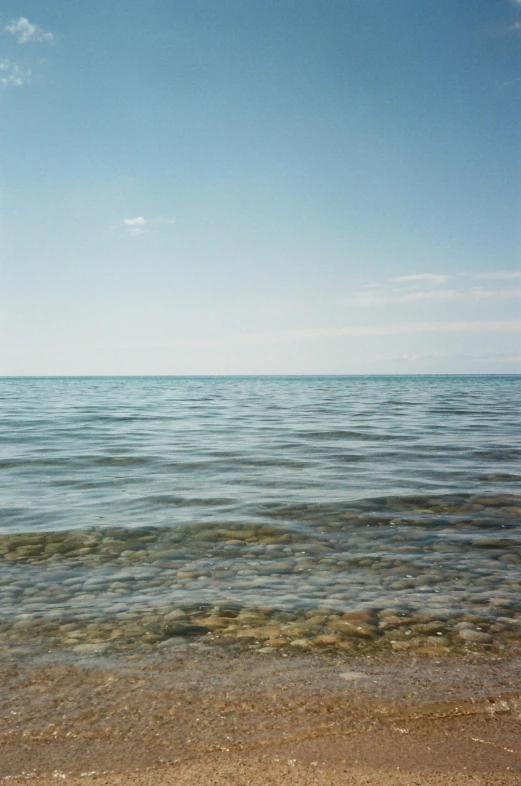 an orange fire hydrant sits in the water near the shore