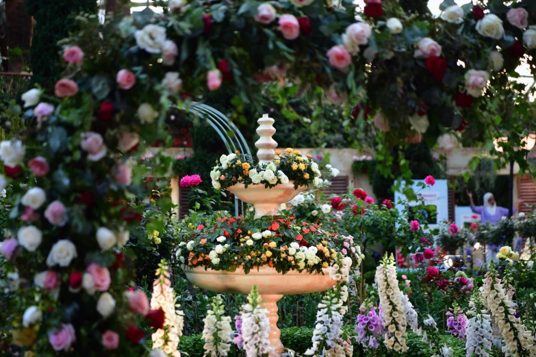 multiple flowers in white pots hanging over a walkway