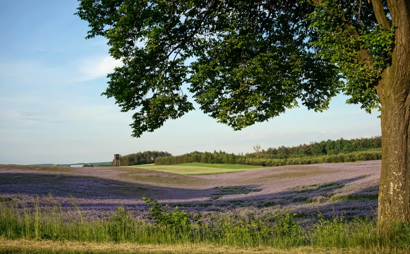 there is an image of an outdoor place