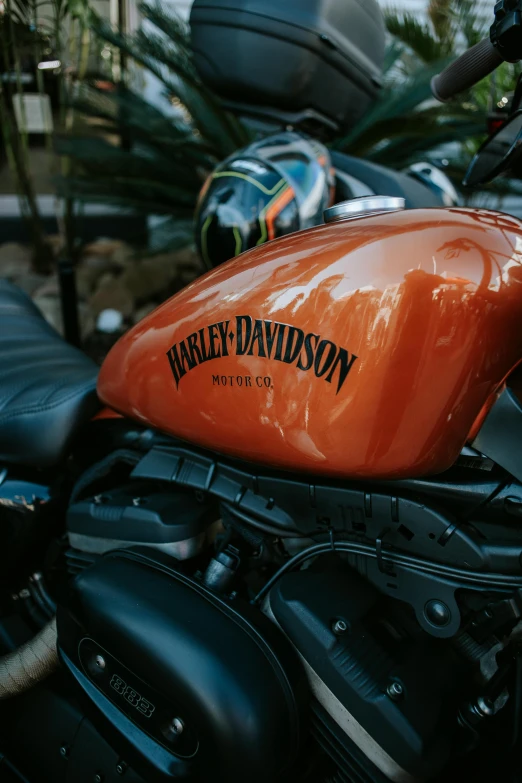 a harley davidson motorcycle parked next to other motorcycles