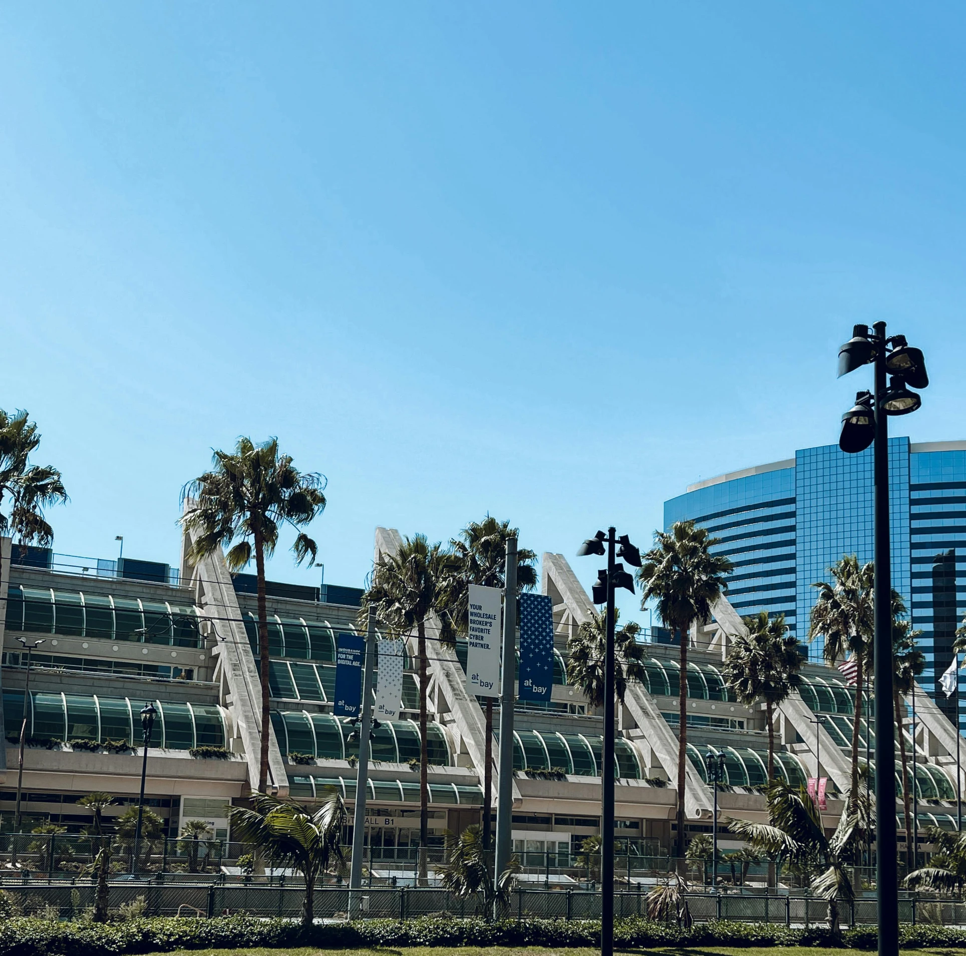 palm trees in front of a building on the outside