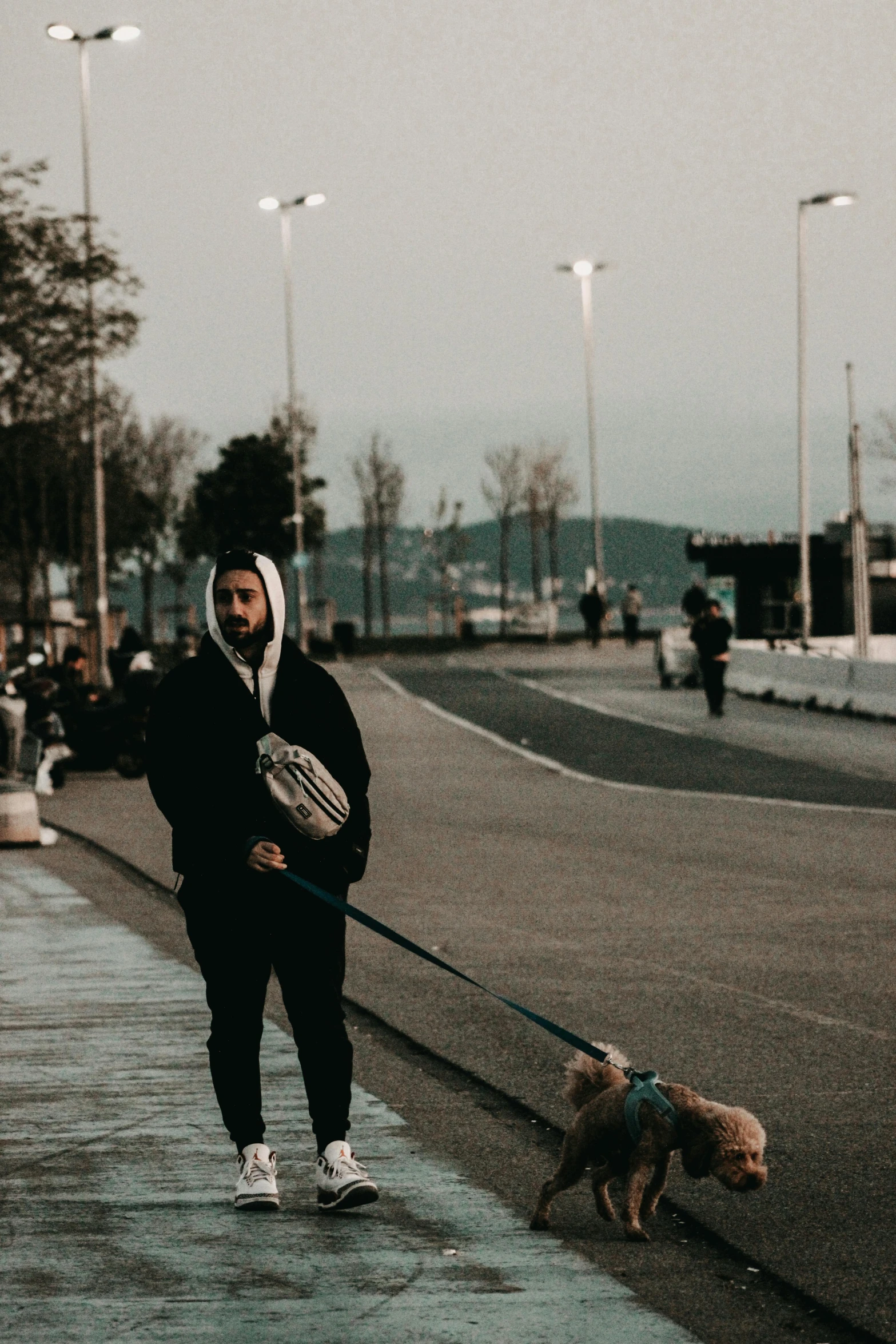 a woman and her dog walking on a city sidewalk