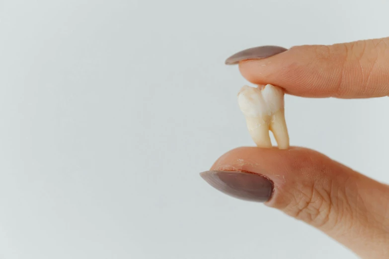 a person's finger holds an ivory colored tooth