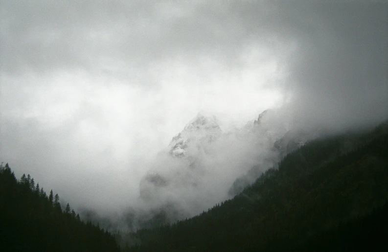 mountains covered in clouds and snow with some pine trees