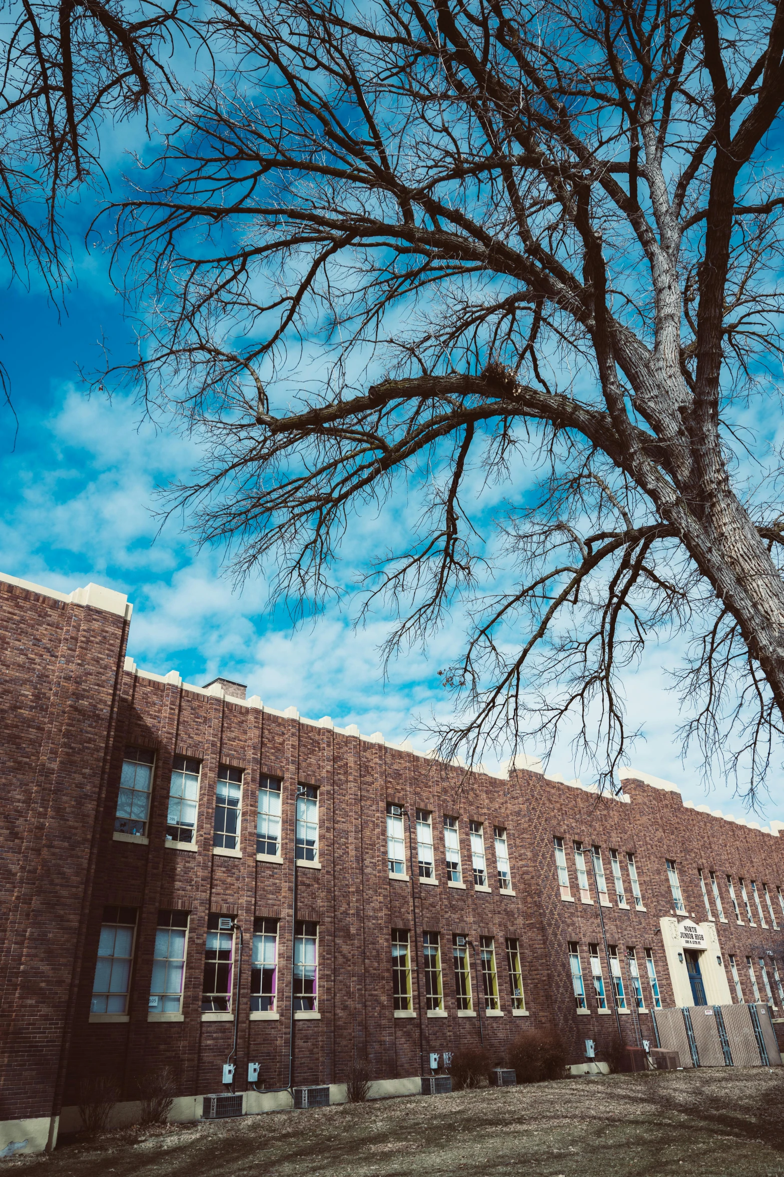 a red brick building with a bare tree on a sunny day