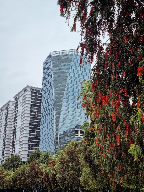 the buildings are very large and in a large city