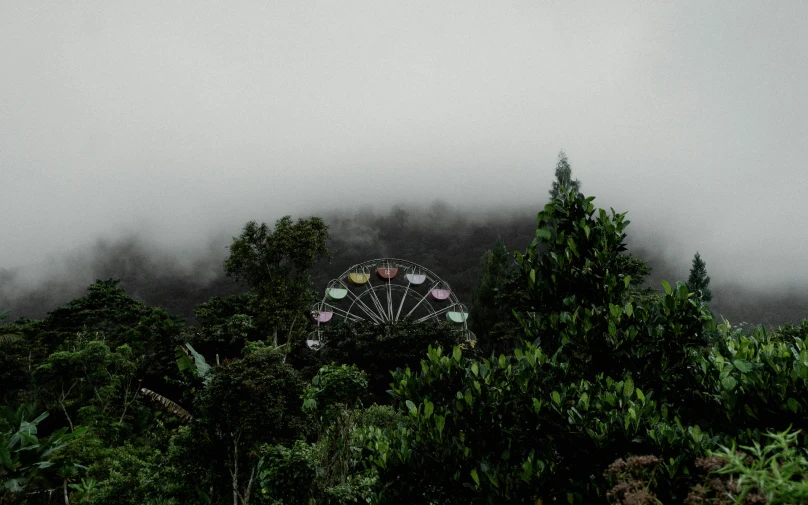 a ferris wheel on top of some trees